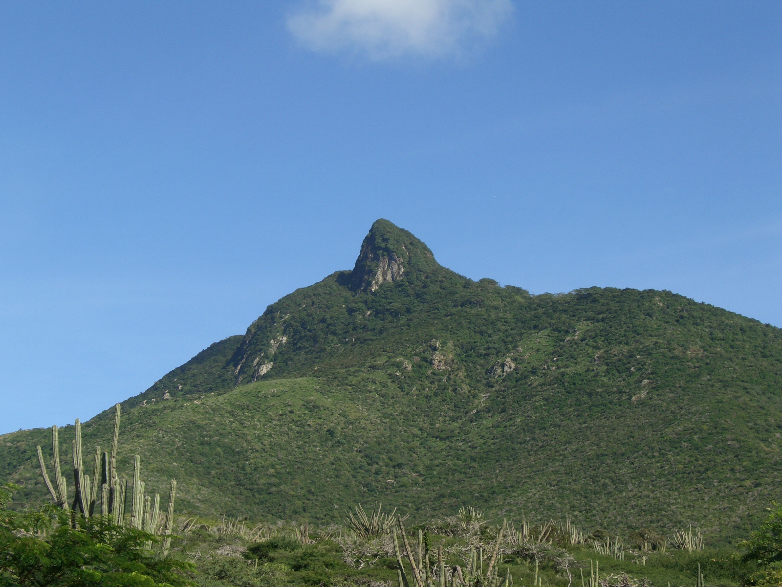 Cerro Santa Ana. Edo. Falcón. Venezuela